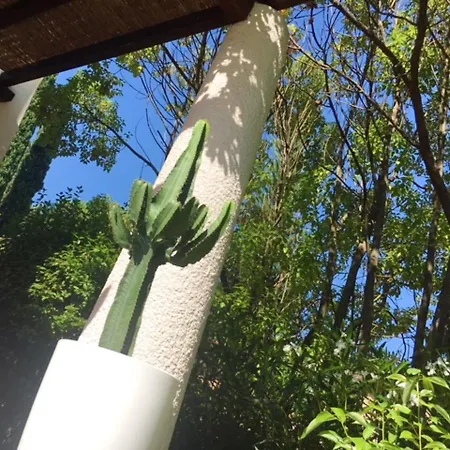 House With 3 Bedrooms In Grimaud With Shared Pool Furnished Garden And Wifi 2 Km From The